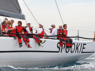 {{brizy_dc_image_alt entityId=