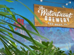 {{brizy_dc_image_alt entityId=