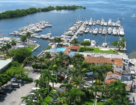 {{brizy_dc_image_alt entityId=