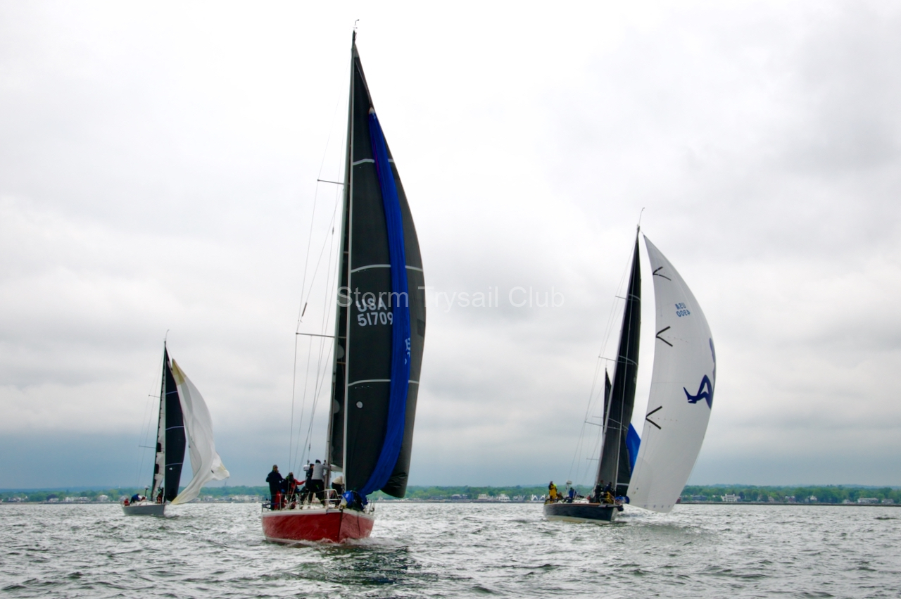 DSC1010.Hamburg-II-Cougar-and-Habiru DSC1010.Hamburg-II-Cougar-and-Habiru