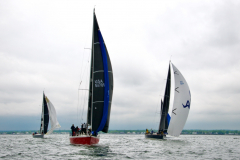 DSC1010.Hamburg-II-Cougar-and-Habiru