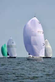 DSC5097.-Hibiru-Skye-Christopher-Dragon-Rumba-green-spinn
