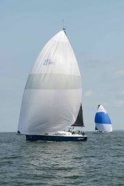 DSC5111.Skye-IC37Fortissimo
