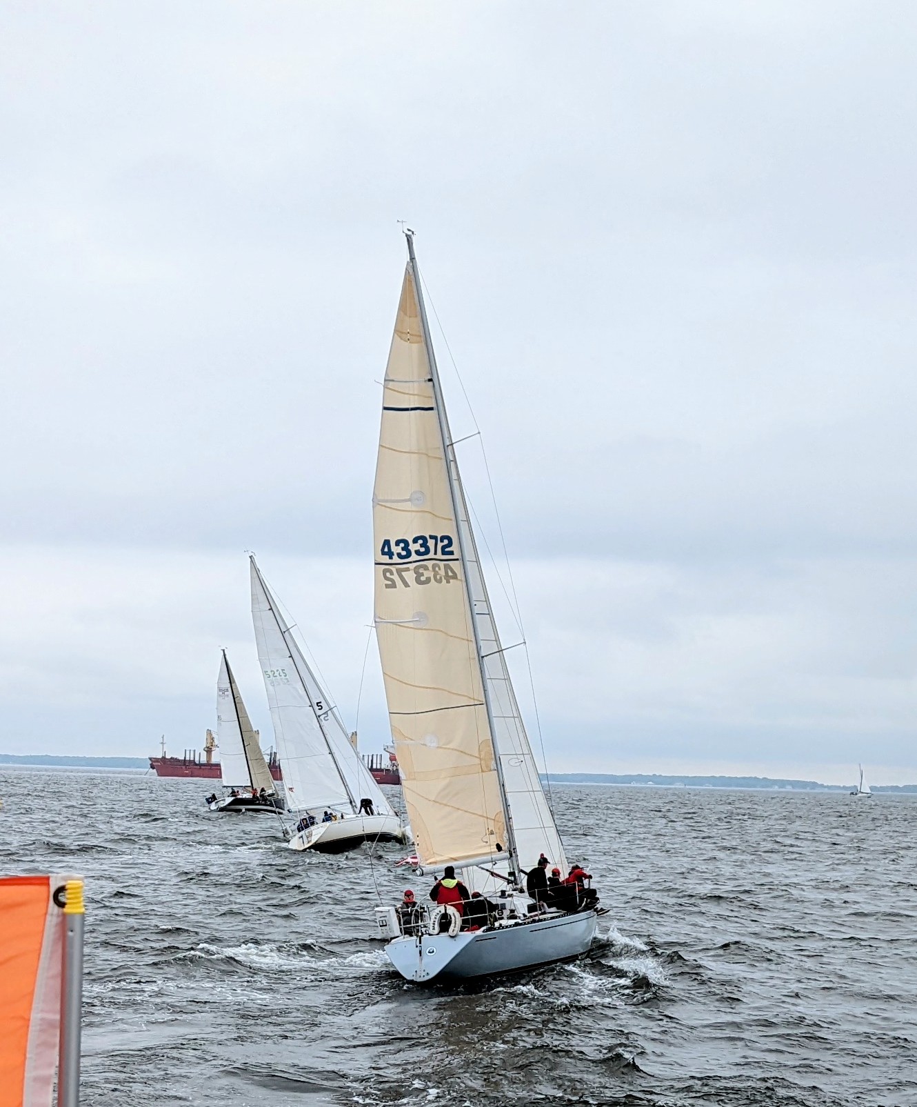 Down the Bay 2022 Photos Storm Trysail Club