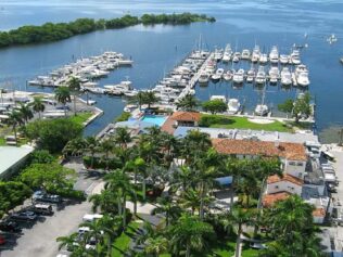 {{brizy_dc_image_alt entityId=