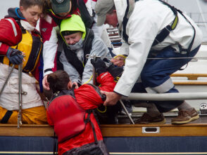 {{brizy_dc_image_alt entityId=