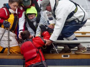 {{brizy_dc_image_alt entityId=