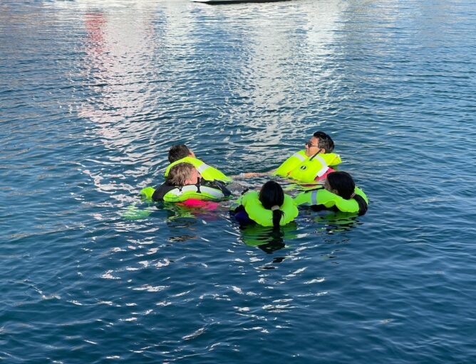 {{brizy_dc_image_alt entityId=