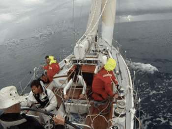 {{brizy_dc_image_alt entityId=