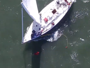 {{brizy_dc_image_alt entityId=