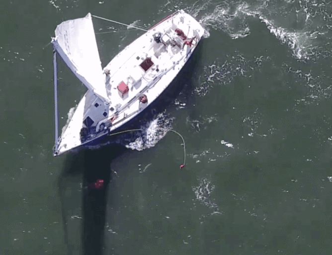 {{brizy_dc_image_alt entityId=